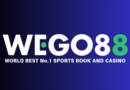 리뉴얼 NEW 위고88 , 모든게 다 바뀐 WEGO88