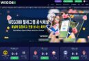 WEGO88 스포츠 배팅 용어 쉽게 정리! 💡