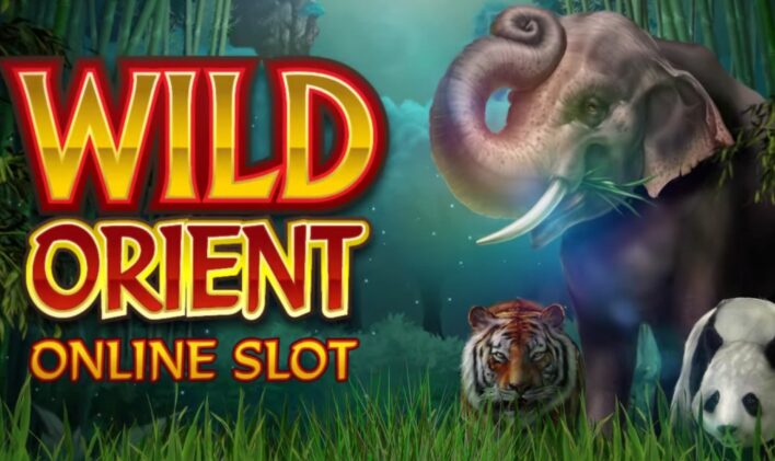  WEGO Slot Wild Orient