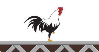 WEGO88 치킨로드(Chicken Road) 게임 후기 및 가이드 2026