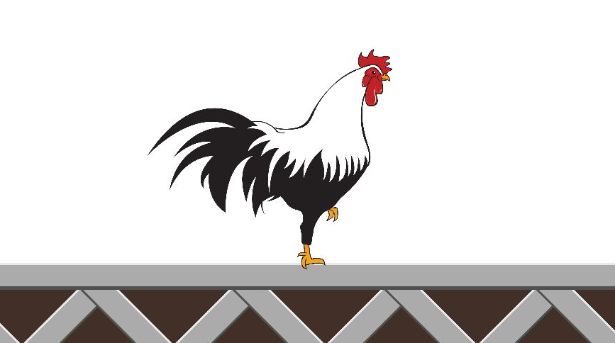 WEGO88 치킨로드(Chicken Road) 게임 후기 및 가이드 2026