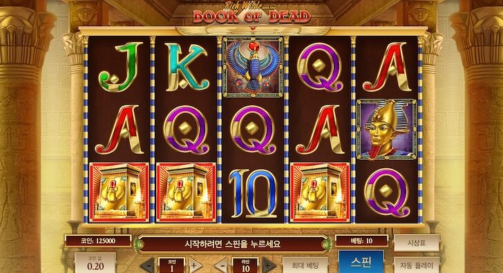 WEGO88 "고대 이집트의 황금을 찾아라"… 2026년 필수 슬롯 '북 오브 데드' 완벽 공략